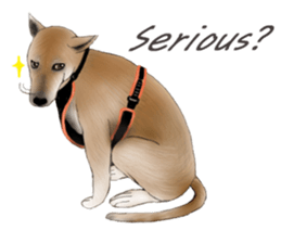 The cool dog-Jessie sticker #6995216