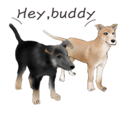 The cool dog-Jessie sticker #6995234