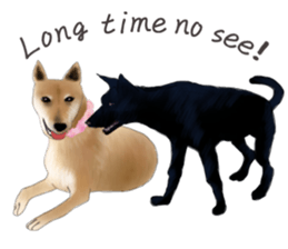 The cool dog-Jessie sticker #6995235