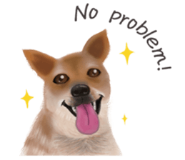 The cool dog-Jessie sticker #6995236