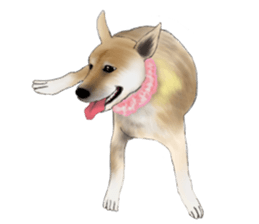 The cool dog-Jessie sticker #6995237