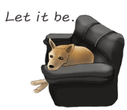 The cool dog-Jessie sticker #6995240