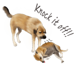 The cool dog-Jessie sticker #6995241