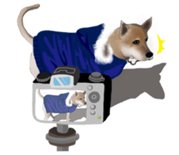 The cool dog-Jessie sticker #6995244