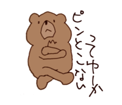 Coooool Bear sticker #6997064