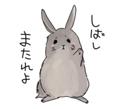 rabbit&chick. sticker #6997537