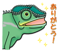 colorful Furcifer pardalis sticker #6997850