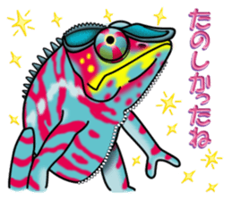 colorful Furcifer pardalis sticker #6997851
