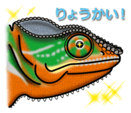 colorful Furcifer pardalis sticker #6997856