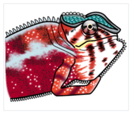 colorful Furcifer pardalis sticker #6997865