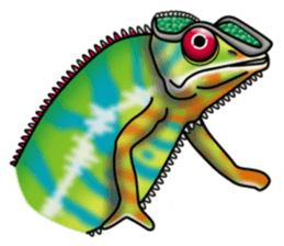colorful Furcifer pardalis sticker #6997876