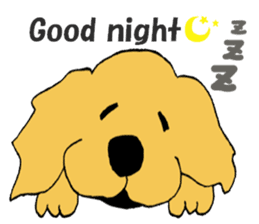 Fan of a retriever sticker #6997888