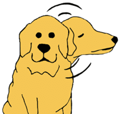 Fan of a retriever sticker #6997891