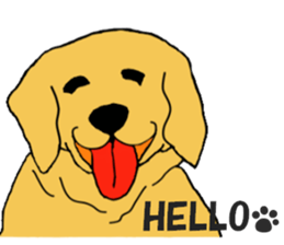 Fan of a retriever sticker #6997893