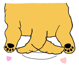 Fan of a retriever sticker #6997894