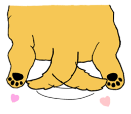 Fan of a retriever sticker #6997894