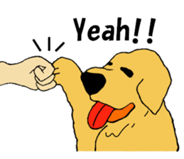 Fan of a retriever sticker #6997895