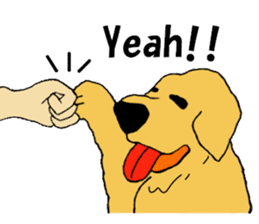 Fan of a retriever sticker #6997895