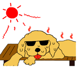 Fan of a retriever sticker #6997896