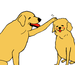 Fan of a retriever sticker #6997898