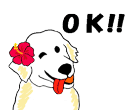 Fan of a retriever sticker #6997899