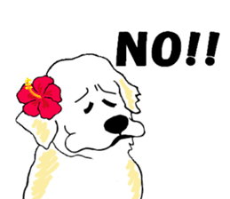 Fan of a retriever sticker #6997900