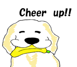 Fan of a retriever sticker #6997901