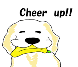 Fan of a retriever sticker #6997901