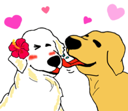 Fan of a retriever sticker #6997906