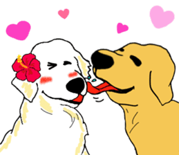 Fan of a retriever sticker #6997906