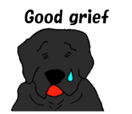 Fan of a retriever sticker #6997908