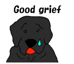 Fan of a retriever sticker #6997908