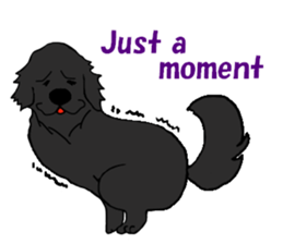 Fan of a retriever sticker #6997910