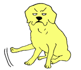 Fan of a retriever sticker #6997913