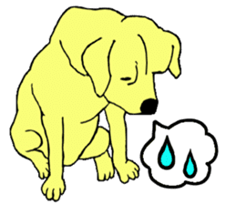 Fan of a retriever sticker #6997915