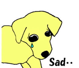 Fan of a retriever sticker #6997916