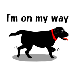 Fan of a retriever sticker #6997922