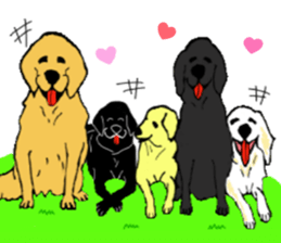 Fan of a retriever sticker #6997927