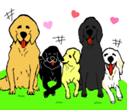 Fan of a retriever sticker #6997927