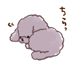 toy poodles2 sticker #6998412