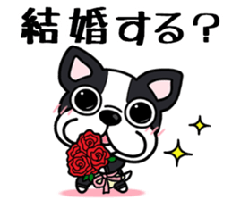 Womanizer? But it is forgiven sticker #7000291