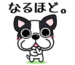 Womanizer? But it is forgiven sticker #7000303