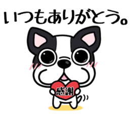 Womanizer? But it is forgiven sticker #7000326