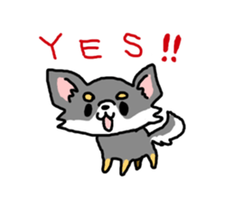 Chihuahua's Sticker ENGLISH VERSION sticker #7003080