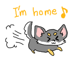 Chihuahua's Sticker ENGLISH VERSION sticker #7003086