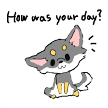 Chihuahua's Sticker ENGLISH VERSION sticker #7003087