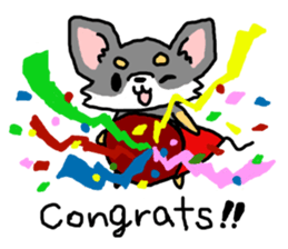 Chihuahua's Sticker ENGLISH VERSION sticker #7003090