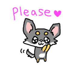 Chihuahua's Sticker ENGLISH VERSION sticker #7003093