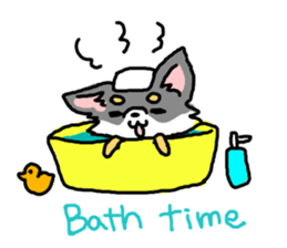 Chihuahua's Sticker ENGLISH VERSION sticker #7003096