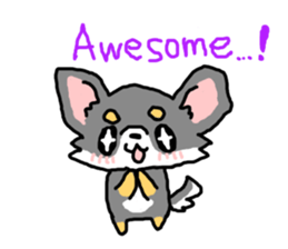 Chihuahua's Sticker ENGLISH VERSION sticker #7003099